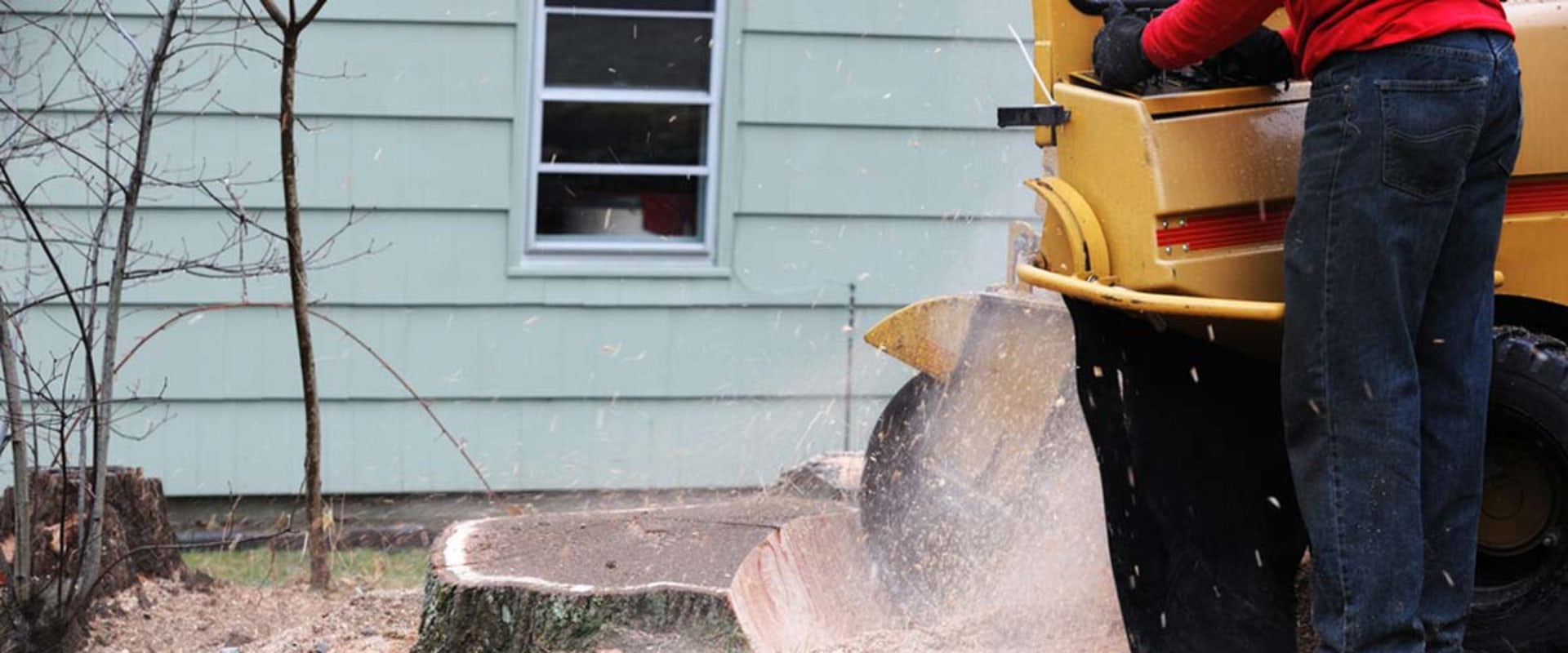 Manual Stump Grinder Cost What You Need to Know