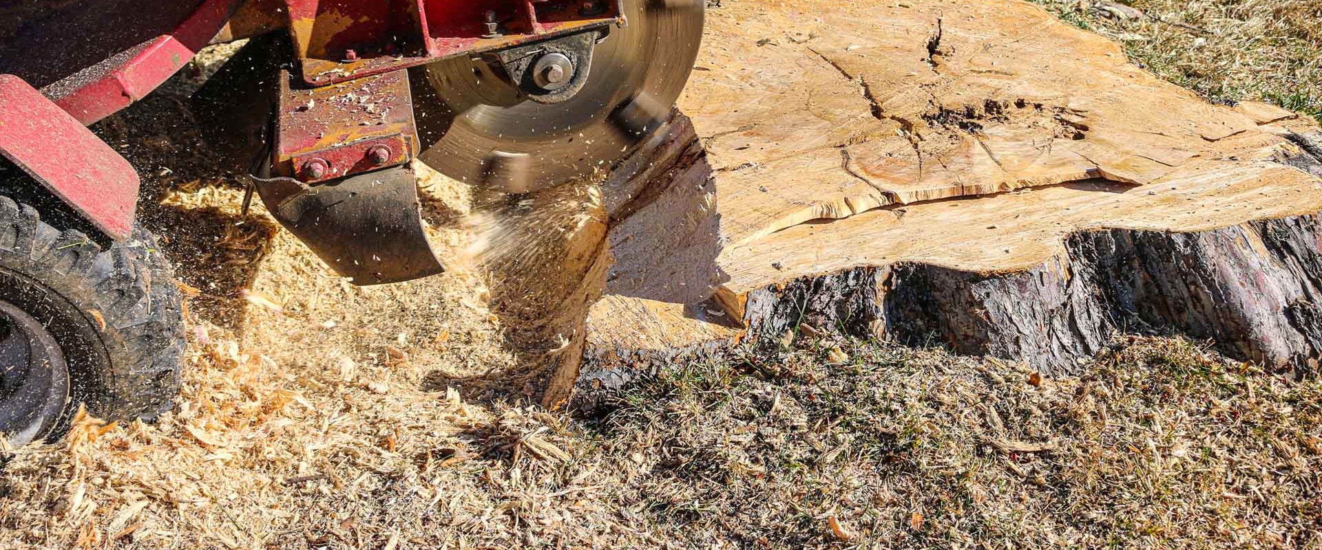 Online Companies Offering Stump Grinding Services