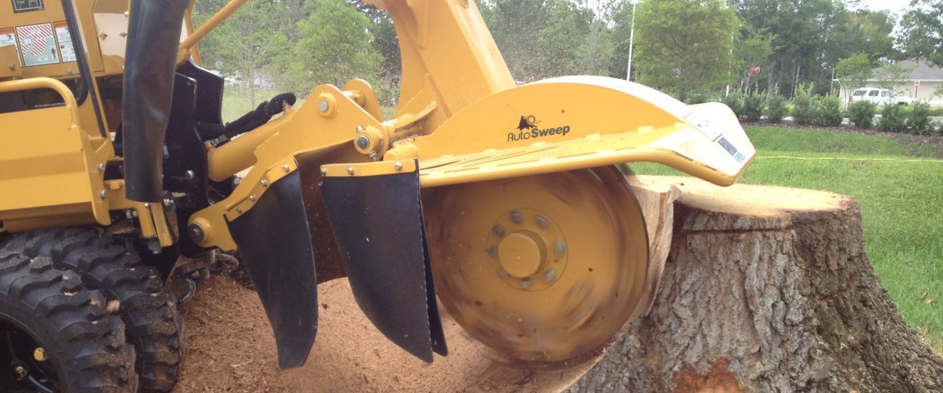 The Essential Training Requirements for Renting a Stump Grinder