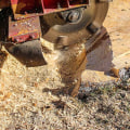 Online Companies Offering Stump Grinding Services